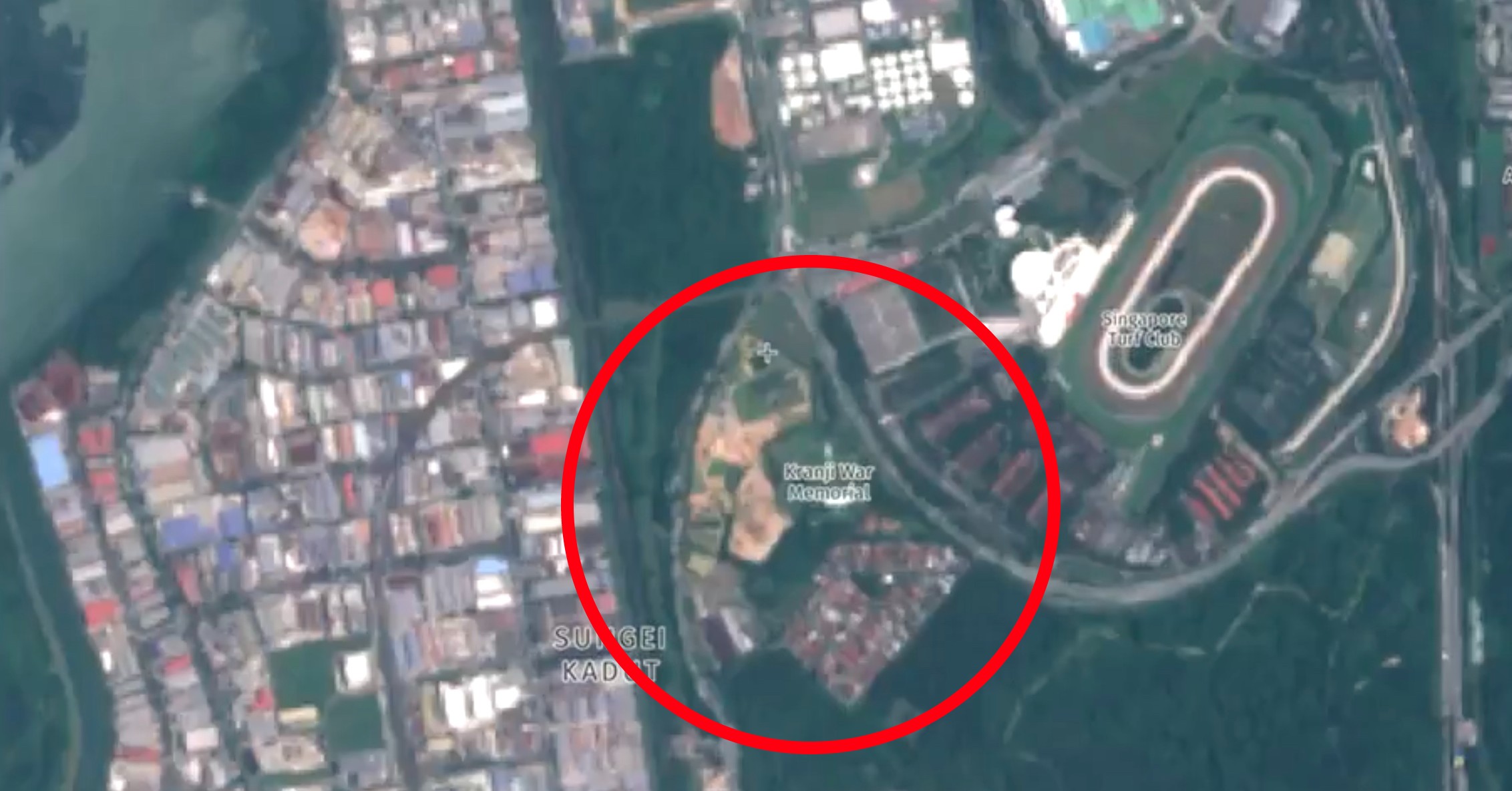 Satellite image shows the Kranji woodland cleared in March 2020. Original image: Lim_Jialiang/Twitter