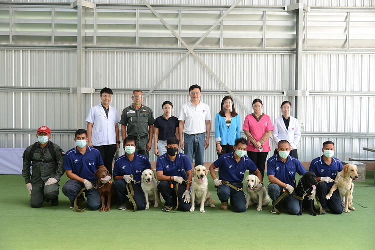 Travelers could soon find these labs sniffing out whether they are with COVID. Photo: Veterinary Science Faculty at Chulalongkorn University