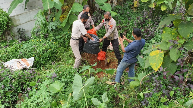 Police exhuming a wild boar believed to be a shapeshifting boar demon thief. Photo: Istimewa