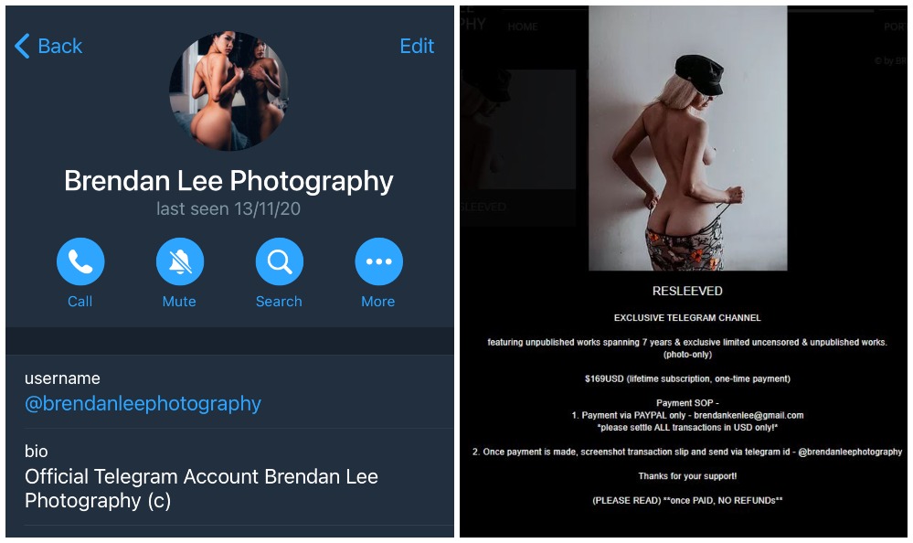 Screenshots of Brendan Lee’s Telegram channel and his website