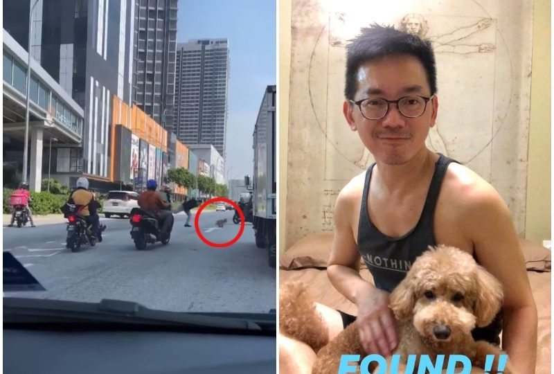 Screengrab of dashcam footage showing highway chase, at left, owner Steven Chong with Dafi the poodle, at right. Photos: Steven Chong/Facebook
