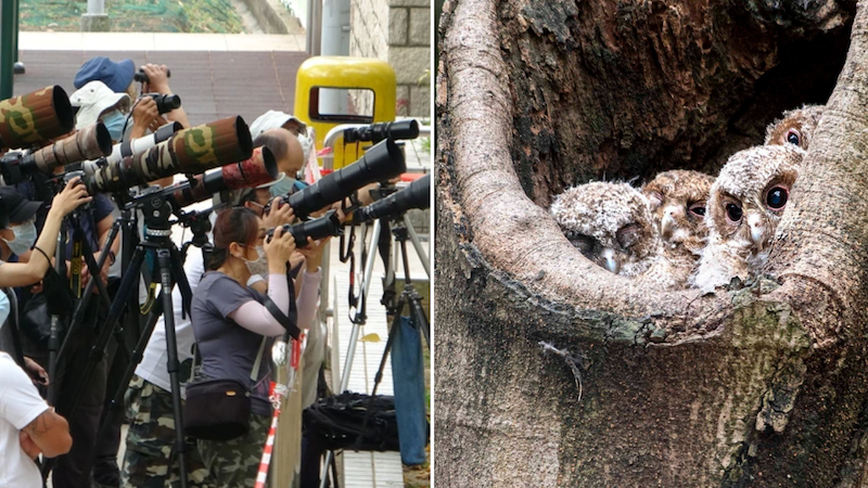 Photographers readied tripods and zoom lens to capture the perfect shot. Photos: Apple Daily (left) and Facebook/Henry Choi (right)