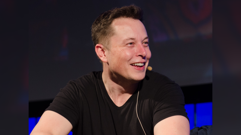 Elon Musk in a 2013 photo. Photo: Dan Taylor
