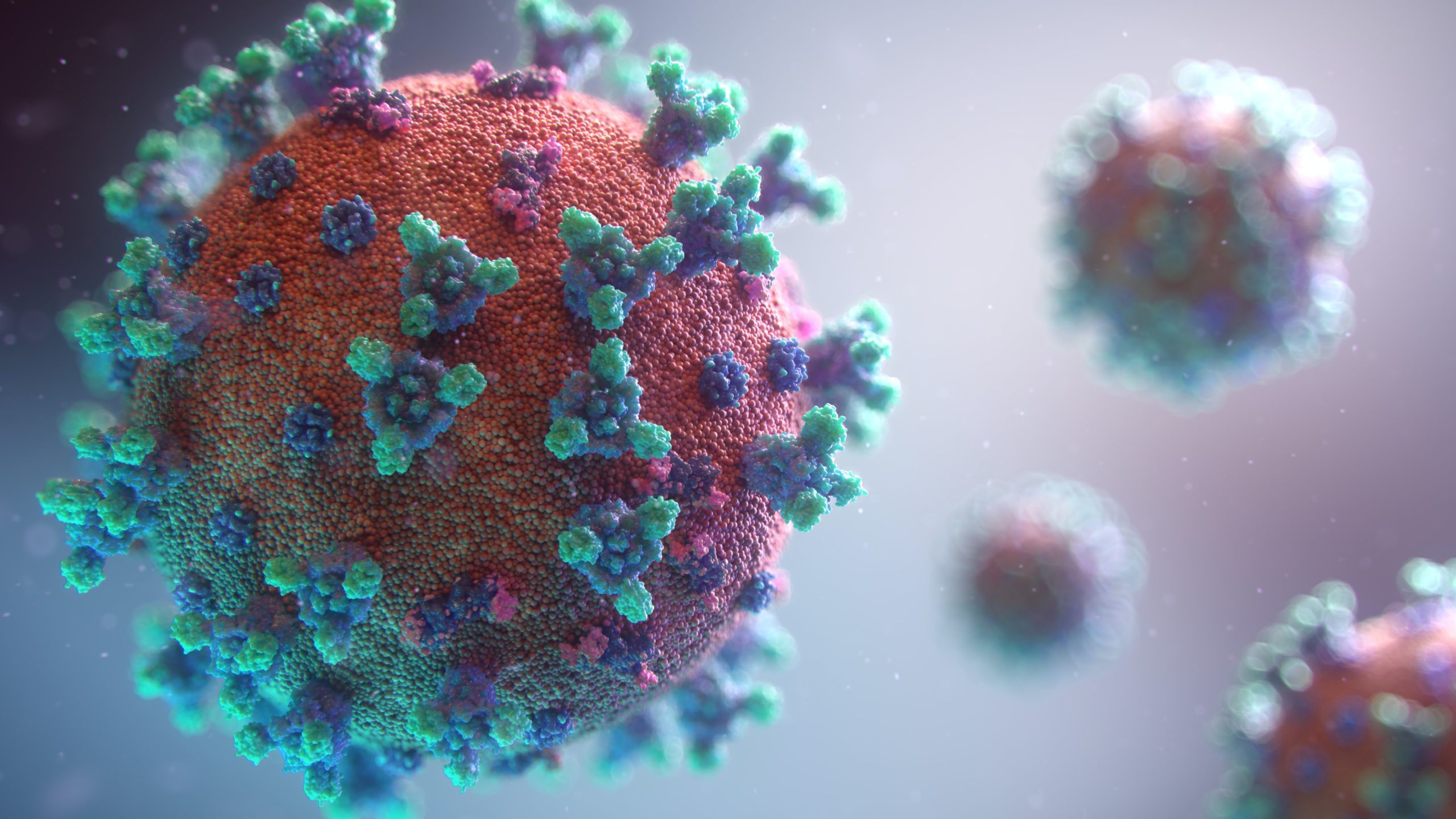 A visualization of the coronavirus. Photo: Unsplash 