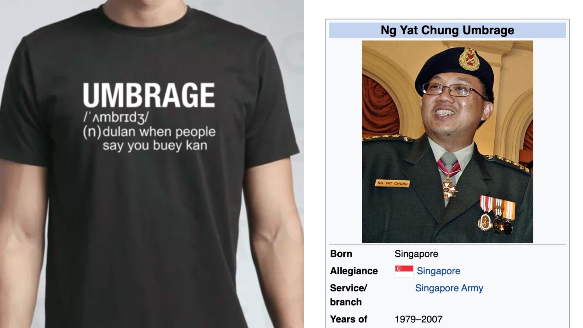 Umbrage t-shirt on sale on Lazada, at left, and ‘umbrage’ added to Ng Yat Chung’s Wikipedia profile, at right.  