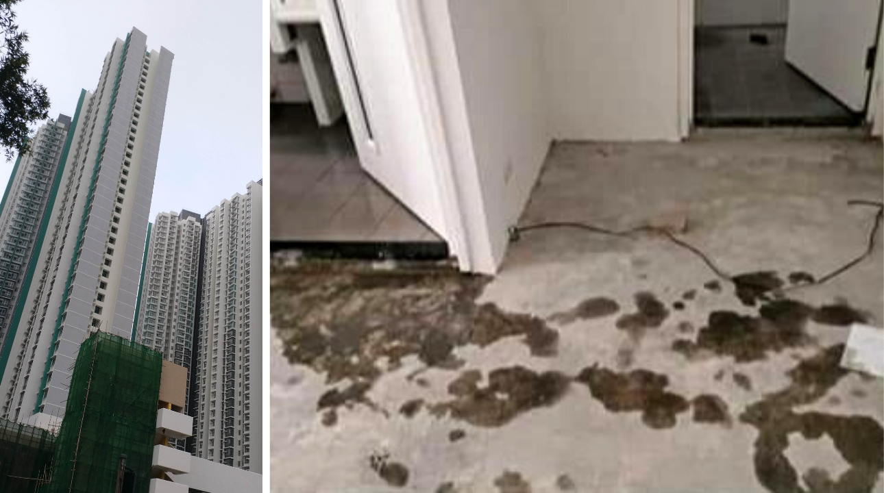 The woman, who was caught showering in an empty flat in Hoi Tat Estate, was a construction worker who wanted to cool off on a hot day. Photos: Wikimedia/姒姓賢寧 (left) and Facebook/Sam Lo (right)