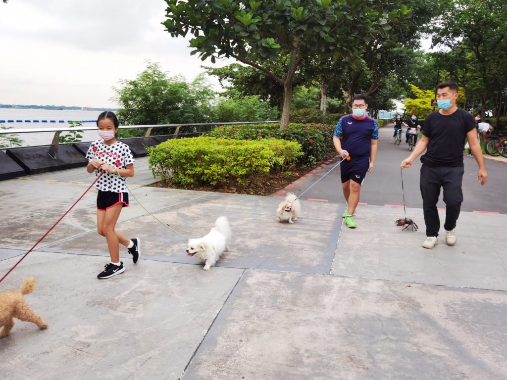 House of Seafood owner Francis Ng pictured with his crab next to a man walking his pet dog. Photo: House of Seafood