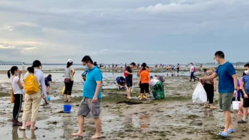 Families digging up crabs and clams at Changi Beach on Sunday. Photo: Daphne Ting/Facebook
