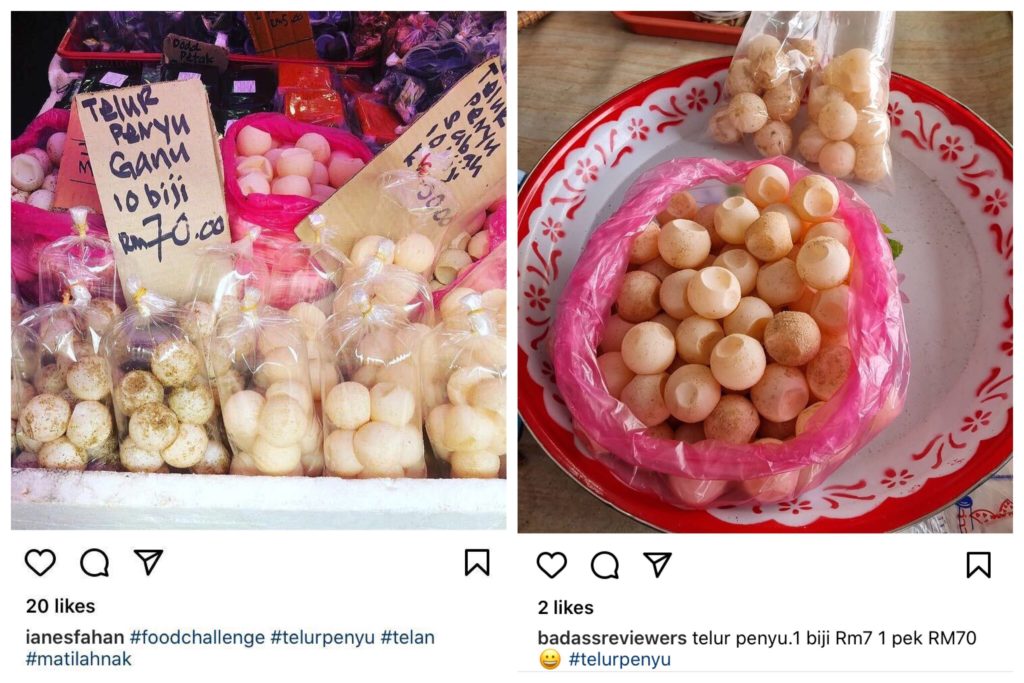 Turtle eggs being sold on social media. Photos: ianesfahan,badassreviewers/Instagram