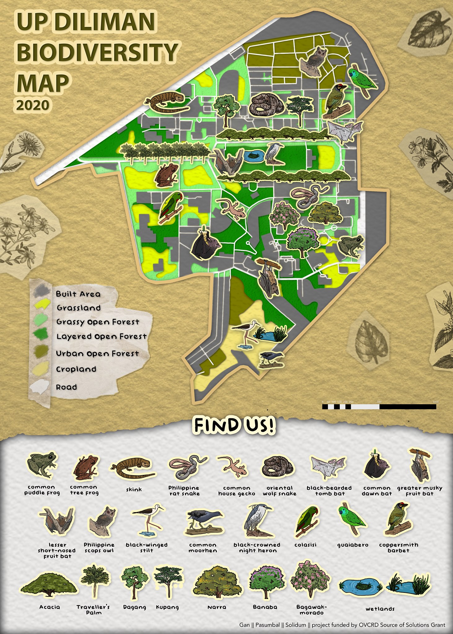 UP Diliman Biodiversity Map (Gan, Pasumbal Solidum) / FB.com/UPWild