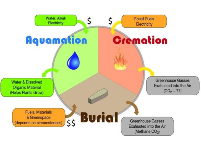 Difference between aquamation and other funeral types. Graphic: Heavenly Pets