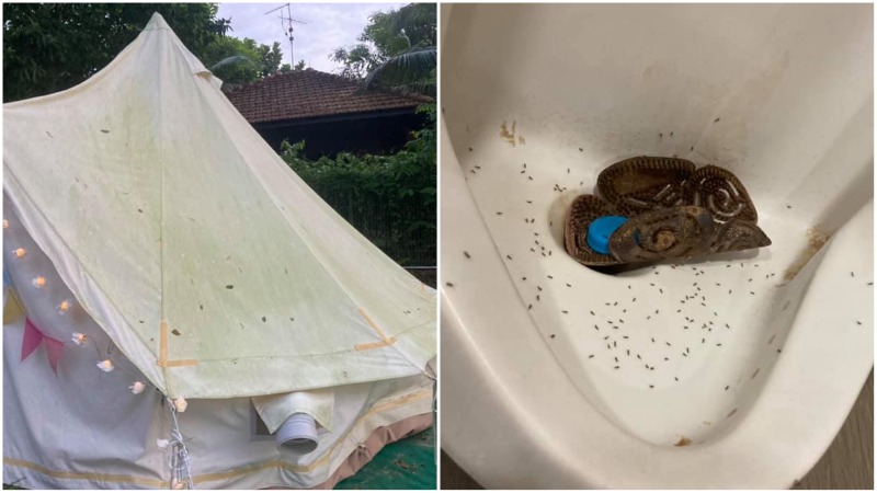 At left, the tent with green mold and a urinal covered in ants, at right. Photos: Leigh Cabanes/Facebook
