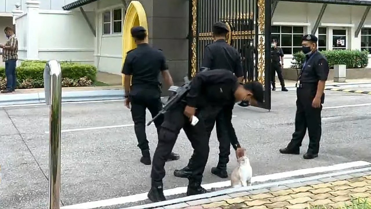 An officer petting a cat outside the Royal Palace on Aug. 17, 2021. Photo: Astro Awani/Facebook