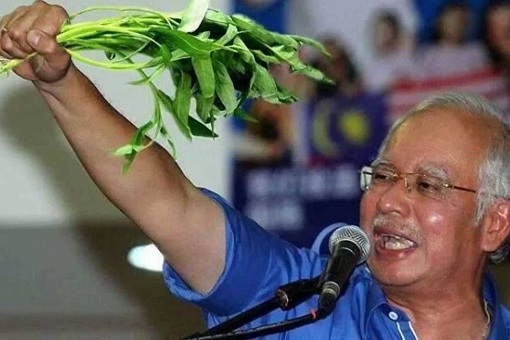 Najib Razak holding water spinach. Photo: Finance Twitter/Twitter