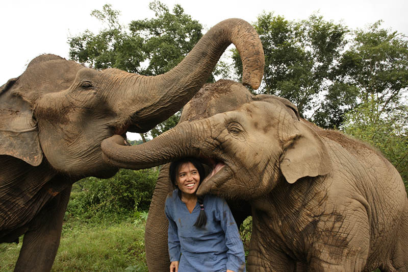 Sangdeaun “Lek” Chailert has received international recognition for her years improving the lives of Thailand's working elephants. Photo: Save Elephant Foundation