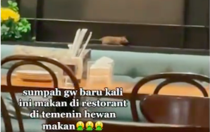 A rat filmed zipping from one dining table to another at a Jakarta restaurant. Photo: Video screengrab