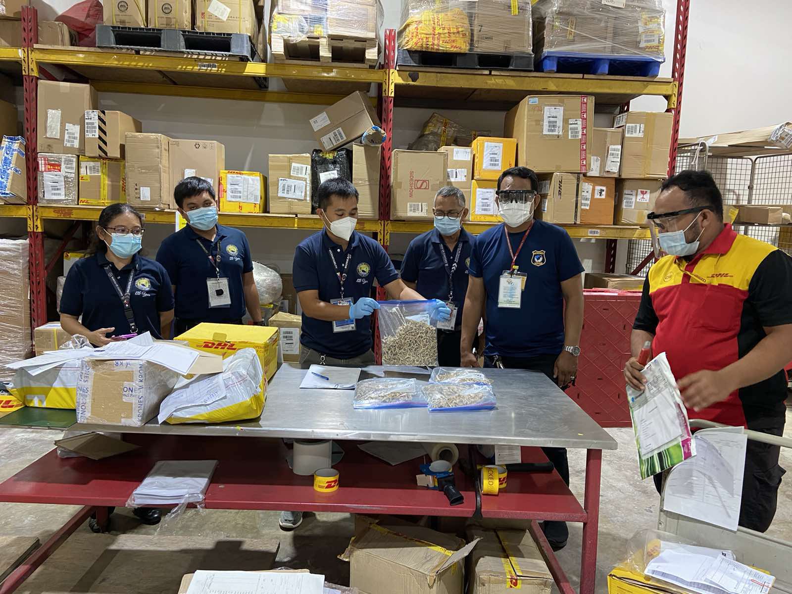 Customs officers at the Subport of Mactan holding a whole mess o' sharks' teeth (boc.gov.ph)