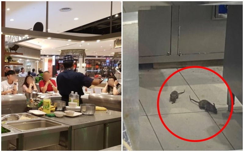 Teppanyaki diners at Pavilion KL’s food court in January 2020, at left, and the two rats spotted there on Dec. 6, at right. Photos: 青蛙 Frog, Sarahshimmers/Instagram
