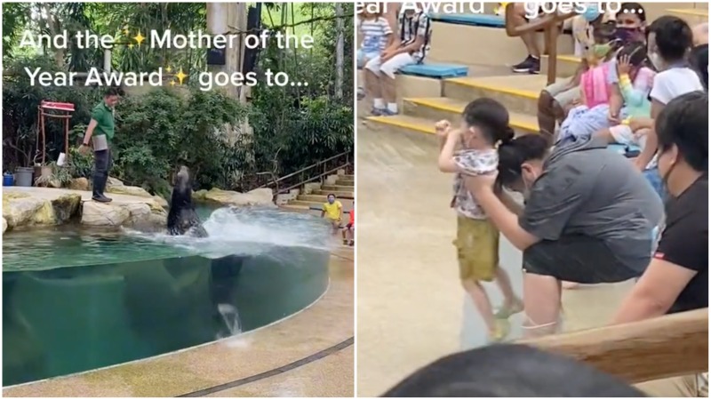 A woman and a toddler at an animal show in Singapore Zoo. Photos: Only in Singapore/TikTok
