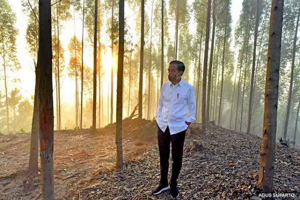 President Joko Widodo at the site that will one day be Indonesia’s new capital city. Photo: Instagram/@jokowi