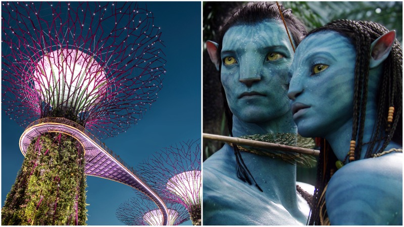 At left, the Supertree Grove at Gardens by the Bay, and the main characters of ‘Avatar’ (2009), at right. Photo: ​​20th Century Fox
