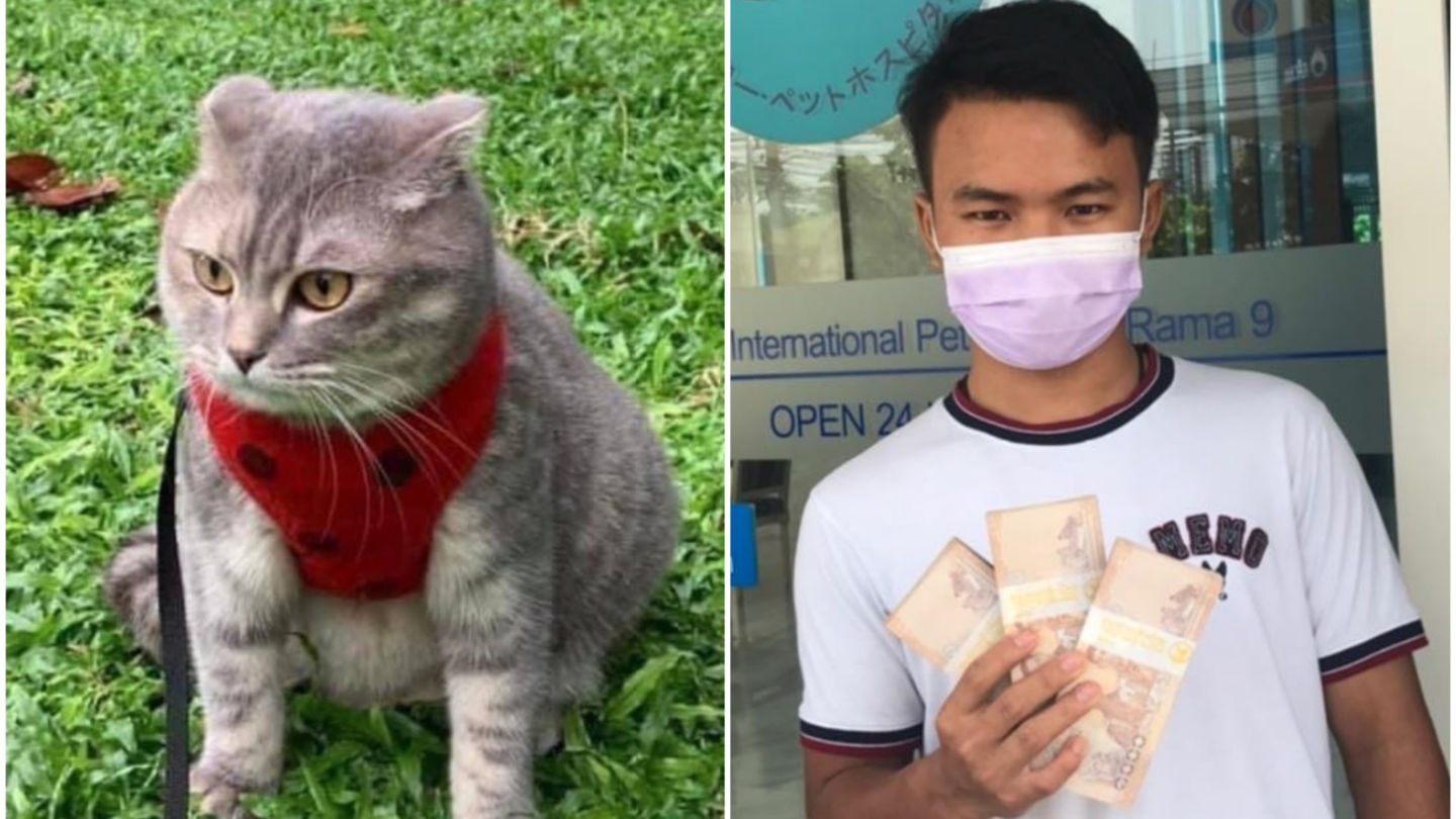 A missing Scottish Fold named Manee, at left, and Piya Phunsanthia, security guard who found the kitty, at right.