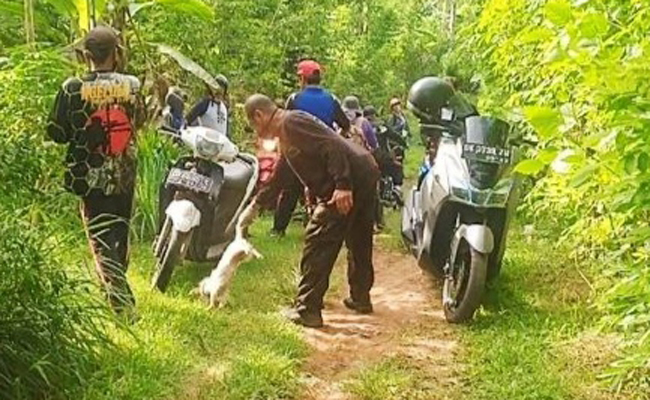 A photo of a dog getting rabies shot in Banyubiru Village in Jembrana. Photo: Obtained.