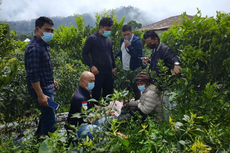 The Kintamani Police searched a chili farm where a Balinese man buried money that he stole from his neighbors on May 10, 2022. Photo: The Kintamani Police.