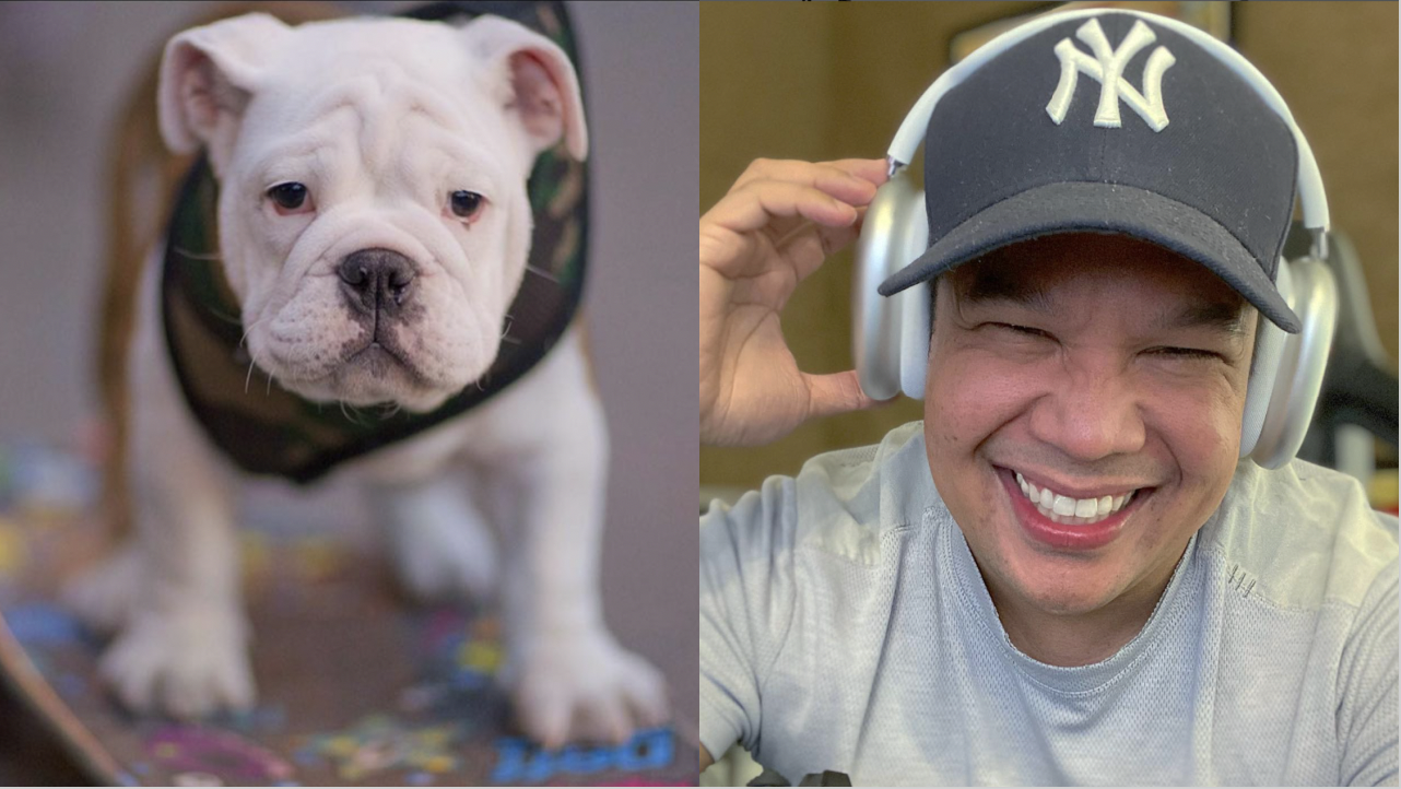 DJ Mo Twister’s dog, an English bulldog named Bamboo, was found lifeless in the area of the man who stole him. Image: DJ Mo Twister (Instagram)