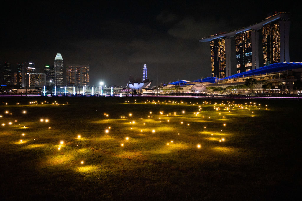 ‘Firefly Field’ by Toer. Photo: Carolyn Teo/Coconuts