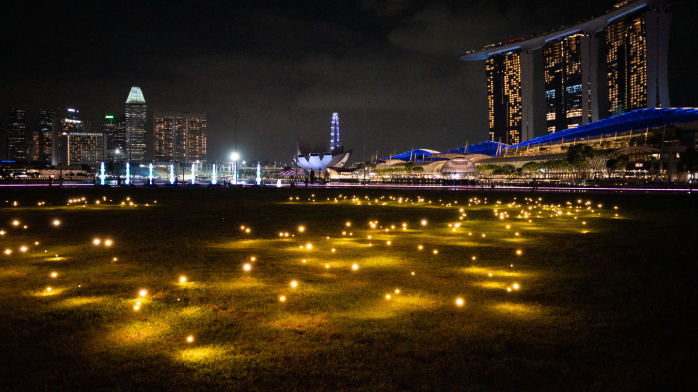 ‘Firefly Field’ by Toer. Photo: Carolyn Teo/Coconuts
