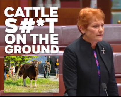 Australian politician Pauline Hanson. Photo: Screengrab.