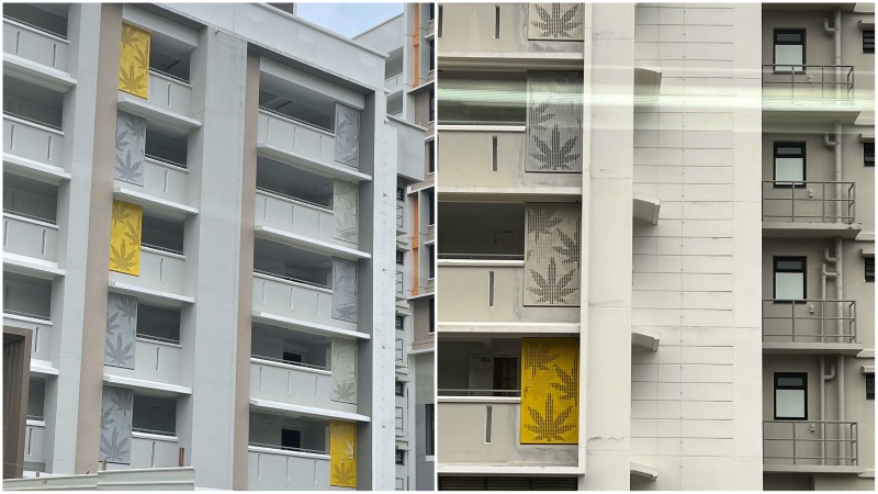 Marijuana leaves spotted at a public housing block in Woodleigh Glen. Photos: Daixhara/Reddit, Pixdam/Reddit
