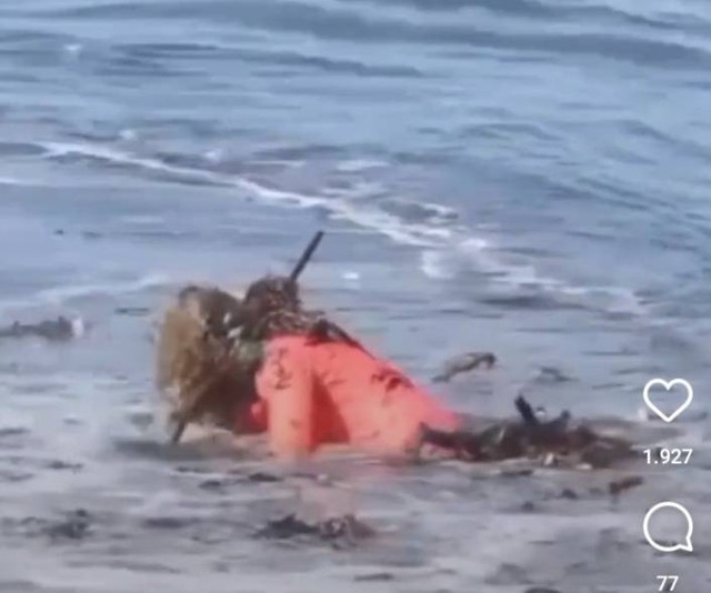 A clip of a woman caught in trash while taking a surfing lesson around Batu Bolong Beach went viral on Oct. 11, 2022. Photo: Screengrab.