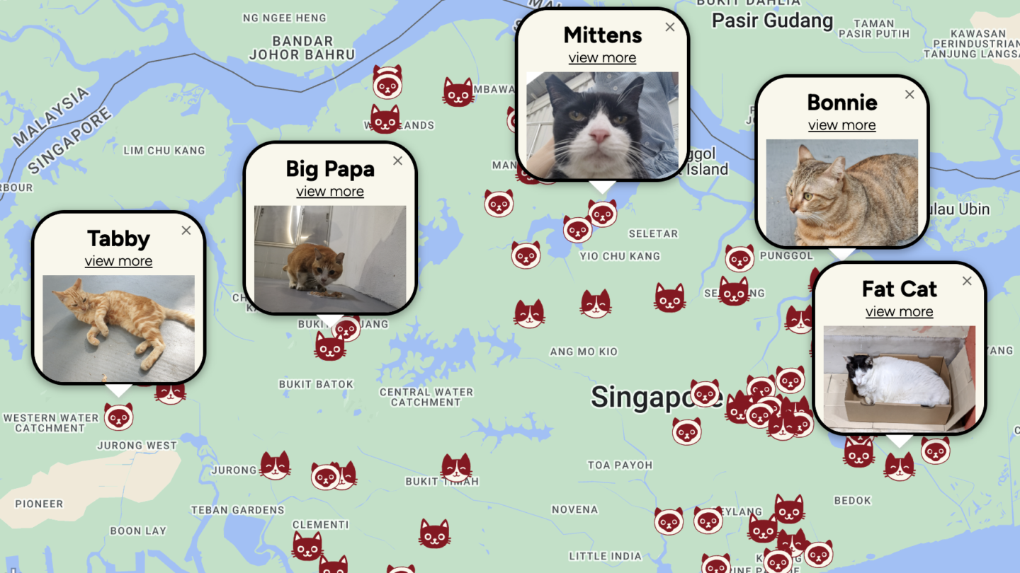 The map showing cats living in Singapore’s neighborhoods. Photo: Cats of SG
