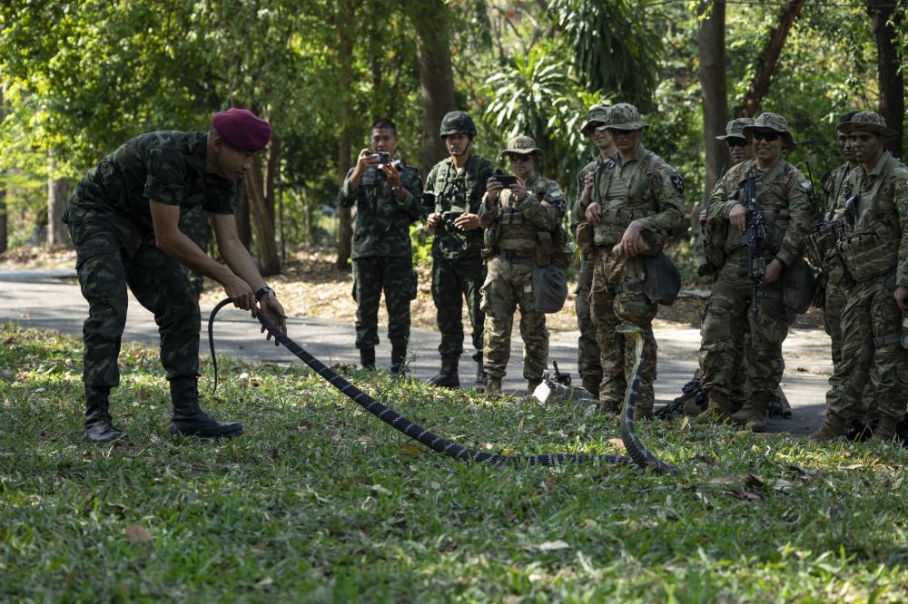 An instructor in Thailand’s Jungle Warfare School demonstrates how to handle a King Cobra snake to U.S. Army soldiers Tuesday in Lopburi province. Photo: Sgt. Megan Roses/U.S. Marine Corps