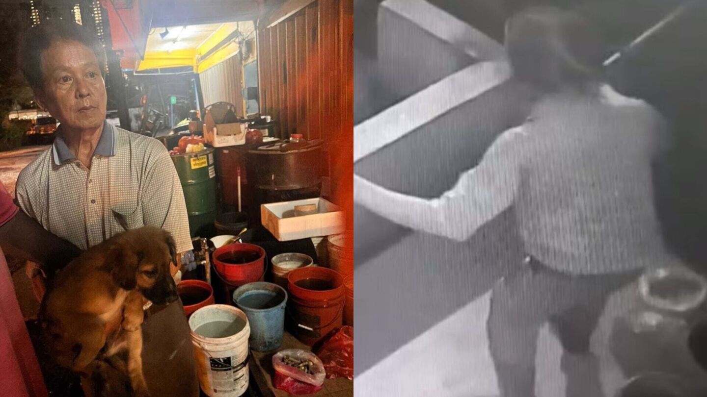 If found guilty, the man identified as Patrick Khoo may face up to two years in jail or a fine up to RM10,000(US$2,268) or both. Photos: Malaysia Independent Animal Rescue Facebook.
