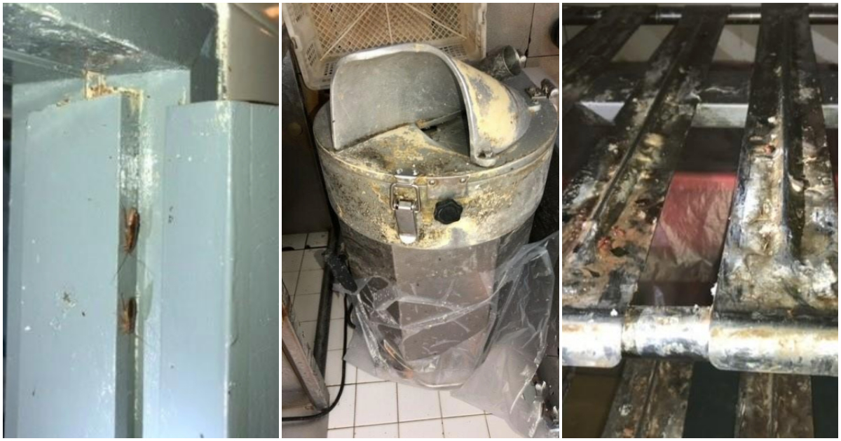 Cockroaches and rodent droppings were found in HKP Food Technology Pte. Ltd. in June 2021. Photos: Singapore Food Agency
