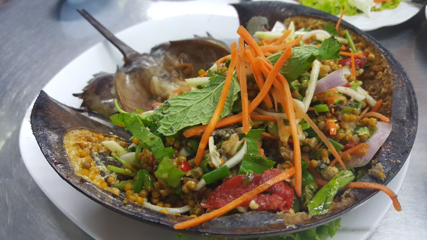 A photo file of spicy salad and horseshoe crab roe, a common dish in Thailand. Photo: Pxfuel