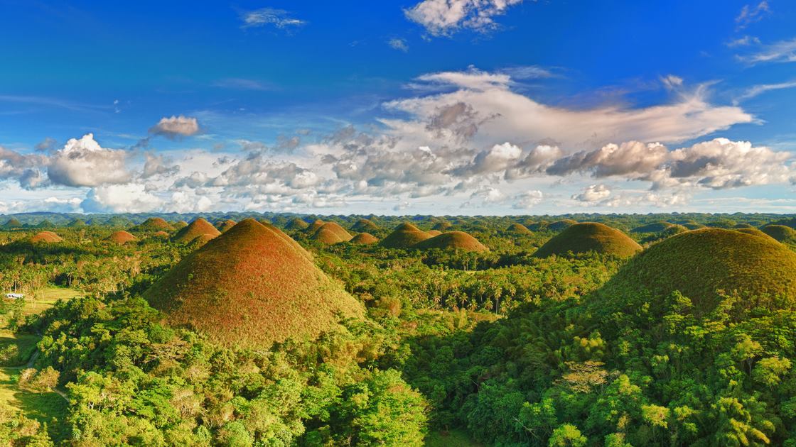 Image: Bohol Tourism