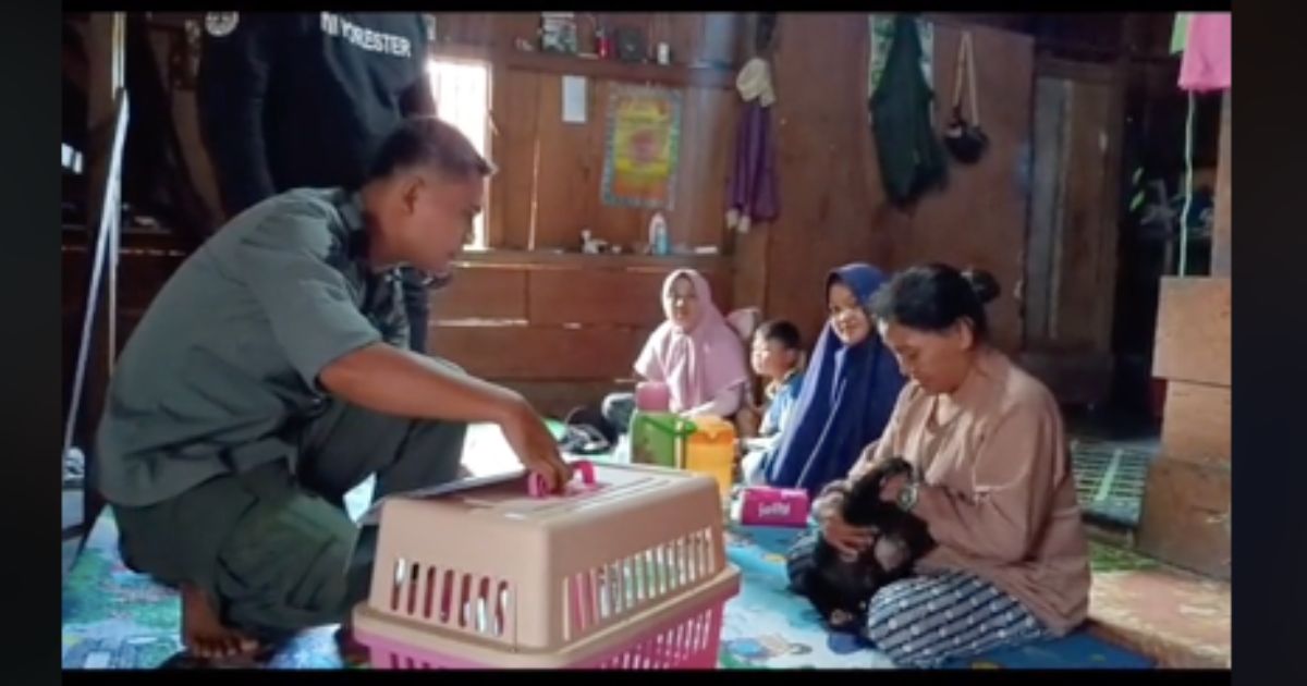 An Indonesian woman embraces a bear cub before handing it over to wildlife authorities. Photo: Video screengrab from TikTok/@jagaalam8